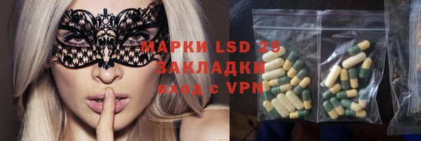 твердый Алзамай