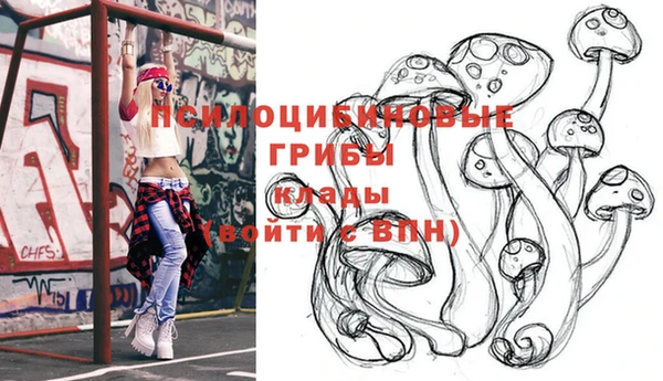 твердый Алзамай