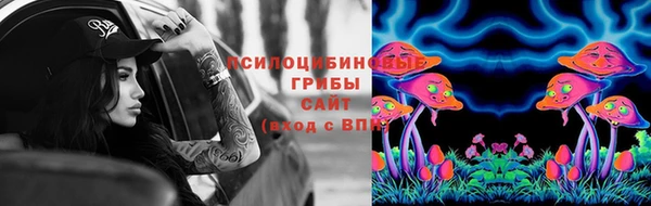 твердый Алзамай