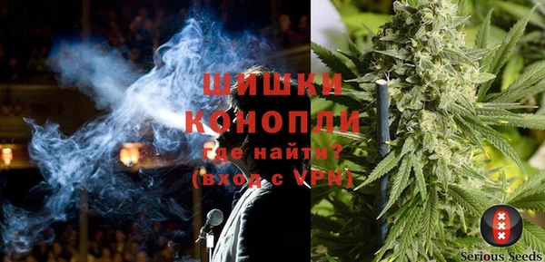 индика Алексеевка