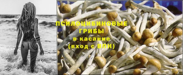 МДПВ Алексин