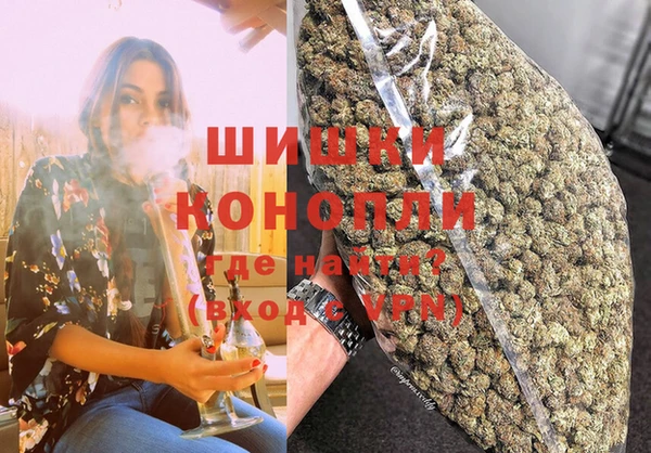 индика Алексеевка