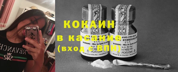 индика Алексеевка