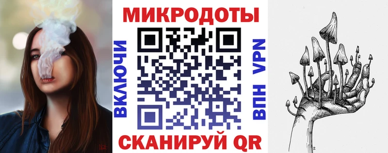 Купить Анива Галлюциногенные грибы Psilocybe