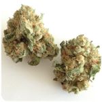 Шишки "White Widow"  (Белая вдова)  Гидропоника -  Бошка VHQ в Аниве